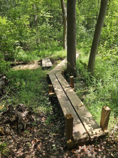 Woods of Wenonah - Wenonah, NJ