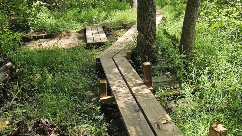 Woods of Wenonah - Wenonah, NJ