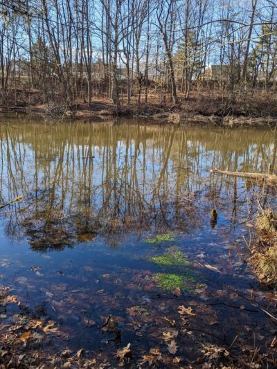 Woods of Wenonah - Wenonah, NJ