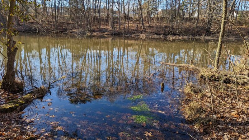 Woods of Wenonah - Wenonah, NJ