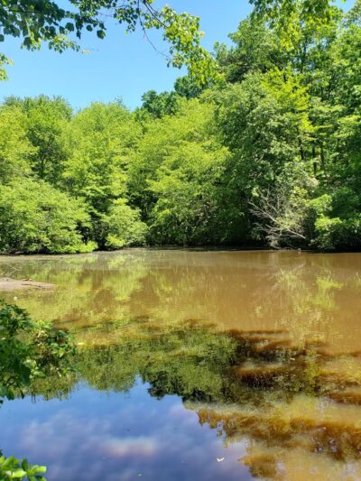 Woods of Wenonah - Wenonah, NJ