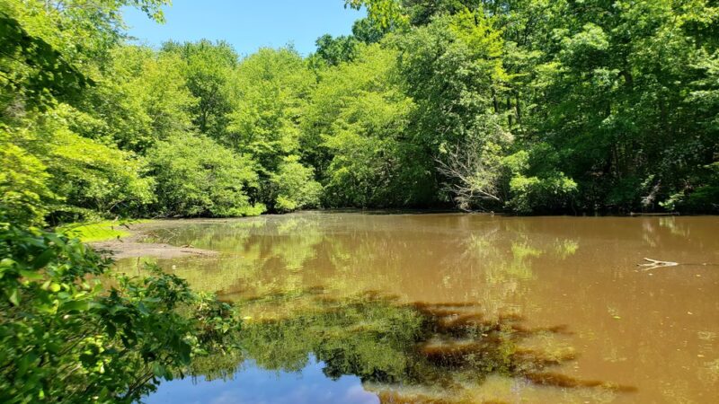 Woods of Wenonah - Wenonah, NJ