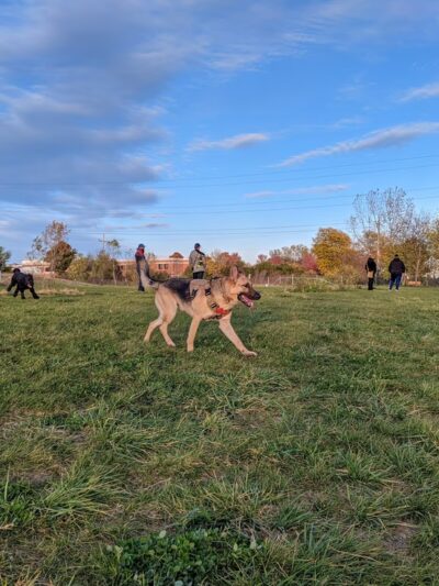 West Allis Dog Park - West Allis, WI