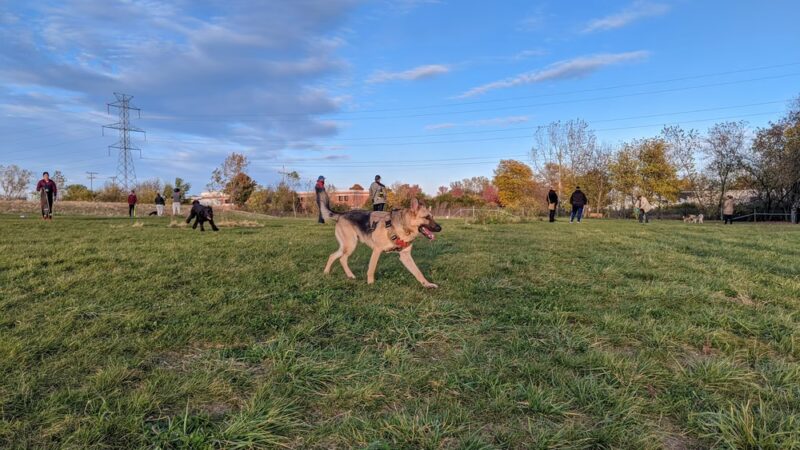 West Allis Dog Park - West Allis, WI