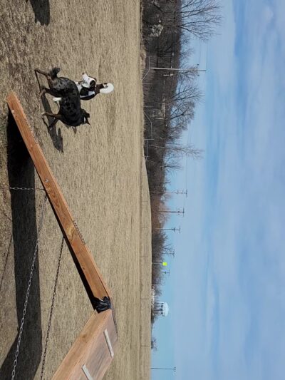 West Allis Dog Park - West Allis, WI