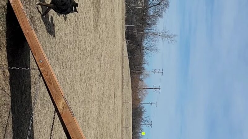 West Allis Dog Park - West Allis, WI