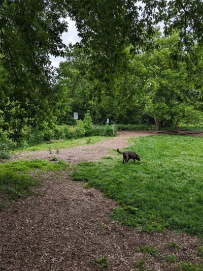 West Allis Dog Park - West Allis, WI