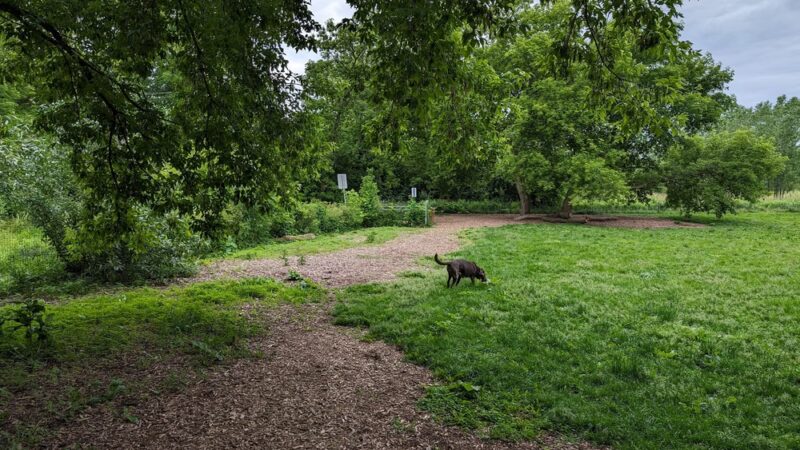 West Allis Dog Park - West Allis, WI