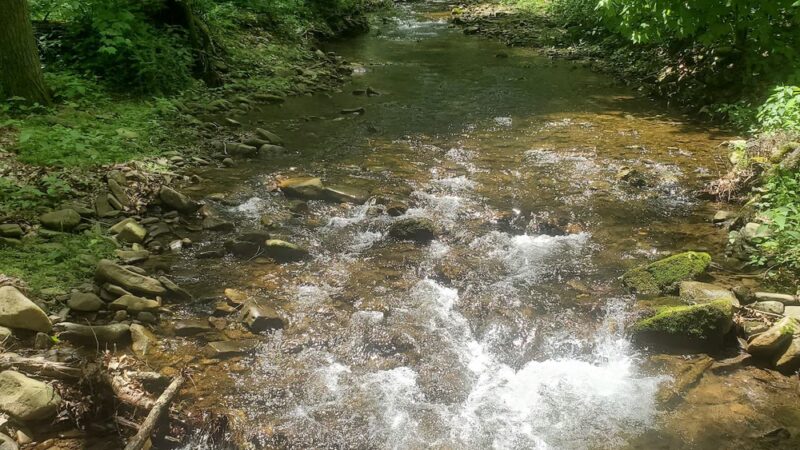 Todd Lake Recreation Area Campground - West Augusta, VA