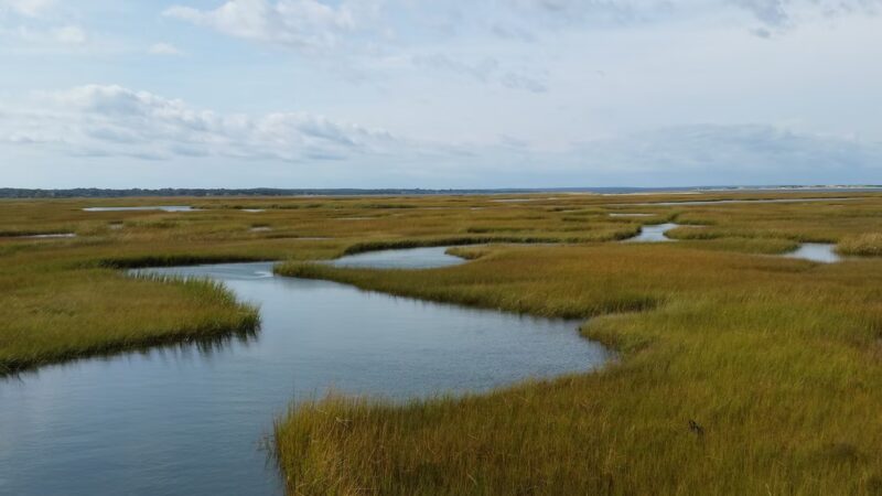 Great Marshes - West Barnstable, MA
