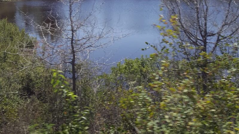 Great Marshes - West Barnstable, MA