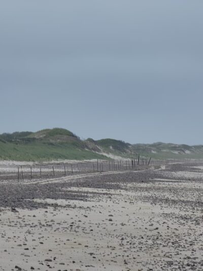 Sandy Neck Marsh Trail - West Barnstable, MA
