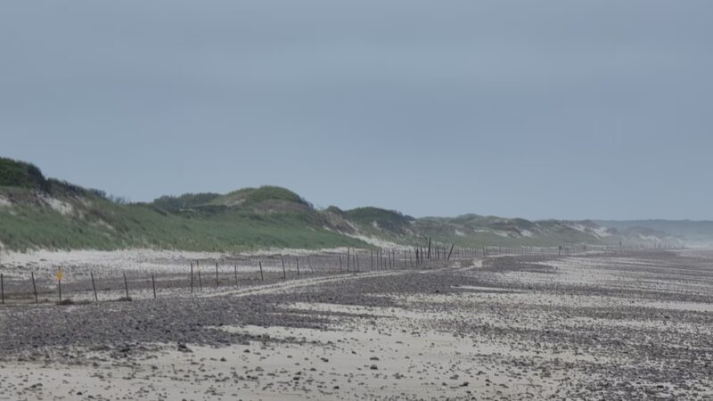 Sandy Neck Marsh Trail - West Barnstable, MA