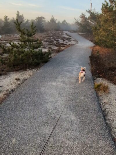 Sandy Neck Marsh Trail - West Barnstable, MA