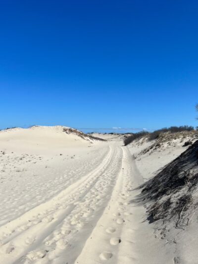 Sandy Neck Marsh Trail - West Barnstable, MA
