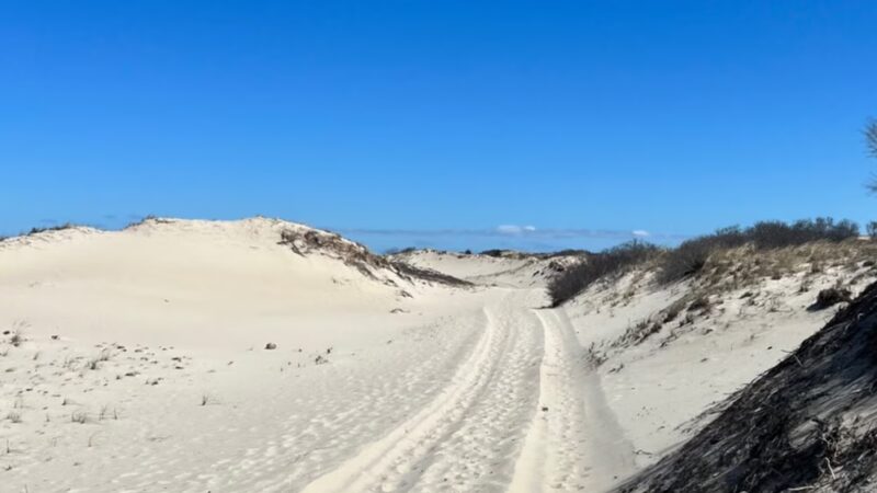 Sandy Neck Marsh Trail - West Barnstable, MA