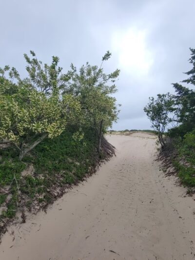 Sandy Neck Marsh Trail - West Barnstable, MA