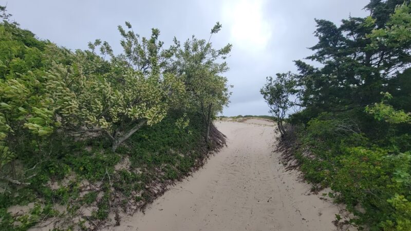 Sandy Neck Marsh Trail - West Barnstable, MA