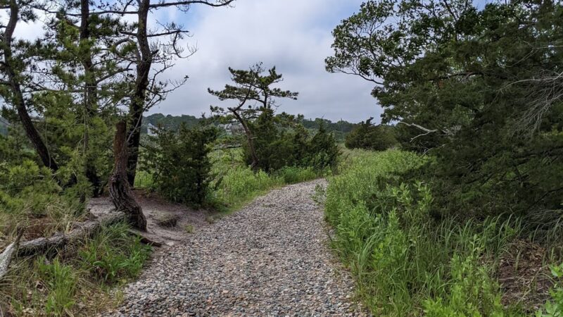Sandy Neck Trail Head and Parking - West Barnstable, MA