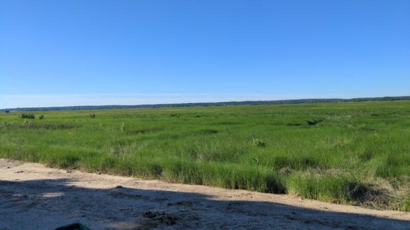 Sandy Neck Trail Head and Parking - West Barnstable, MA