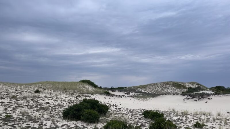 Sandy Neck Trail Head and Parking - West Barnstable, MA