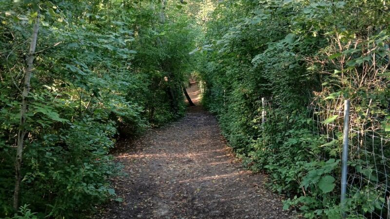 Rolfs Park - West Bend, WI