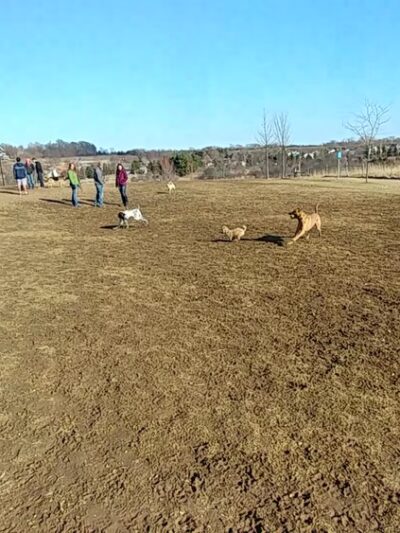 Rolfs Park - West Bend, WI