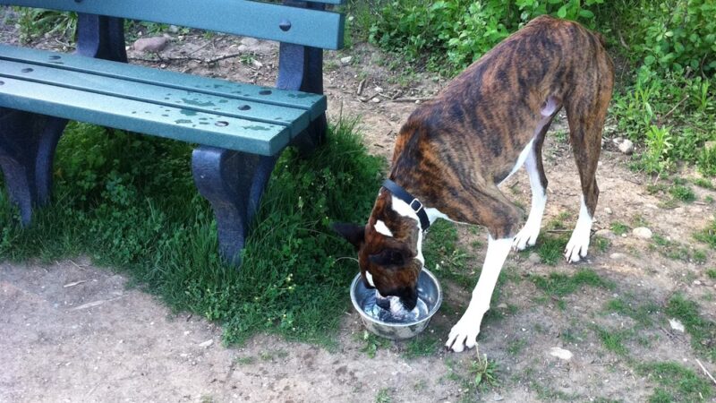 Rolfs Park - West Bend, WI