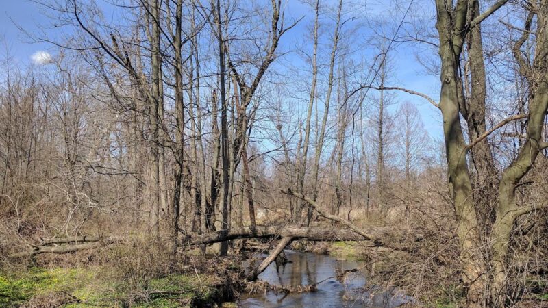 Applebrook Park - West Chester, PA