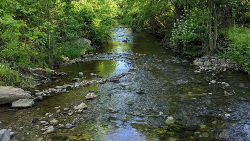 Applebrook Park - West Chester, PA