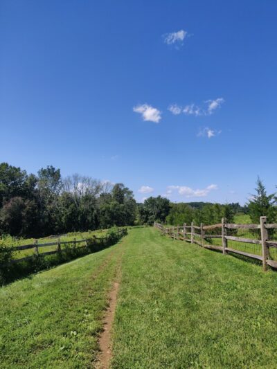 Okehocking Preserve Dog Park Parking - West Chester, PA