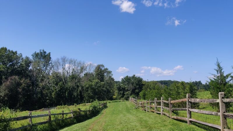 Okehocking Preserve Dog Park Parking - West Chester, PA