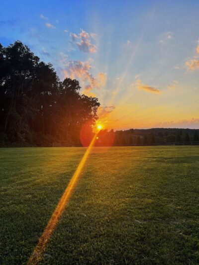 Okehocking Preserve Dog Park Parking - West Chester, PA