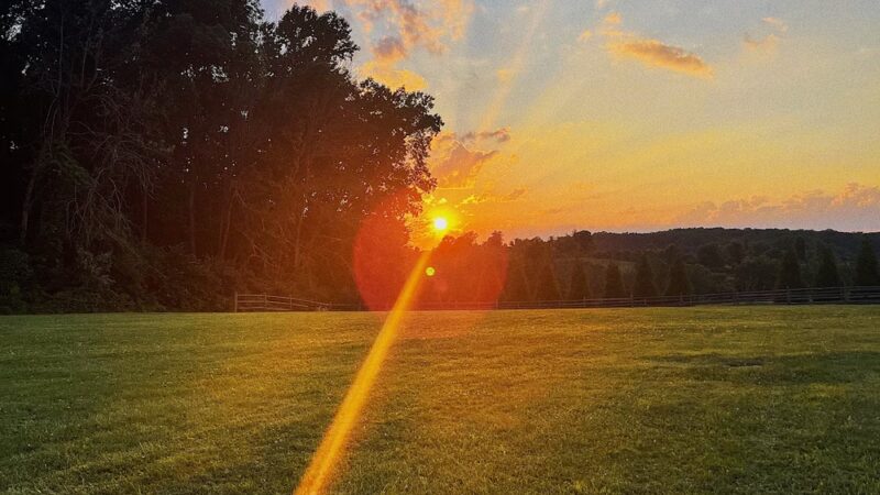 Okehocking Preserve Dog Park Parking - West Chester, PA