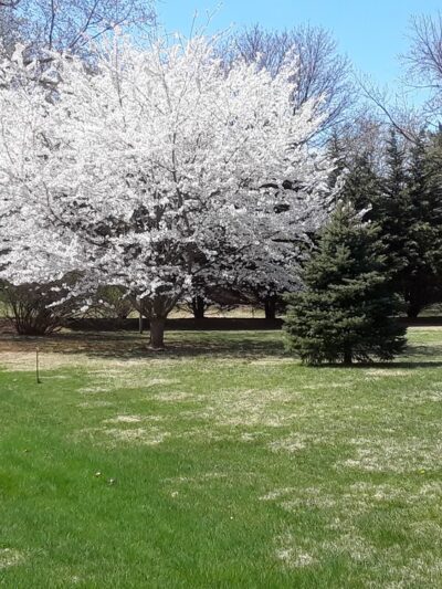 Roscioli Park - West Chester, PA