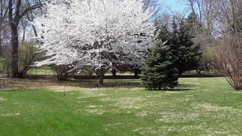 Roscioli Park - West Chester, PA