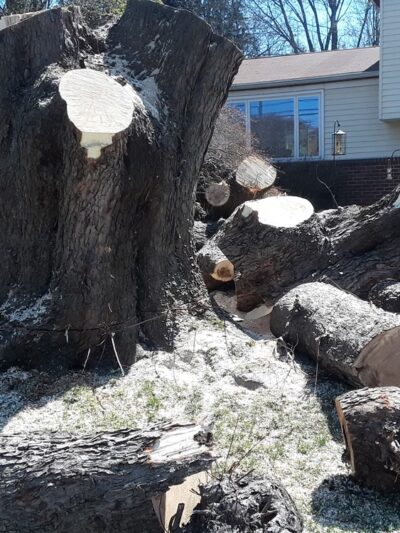 Roscioli Park - West Chester, PA