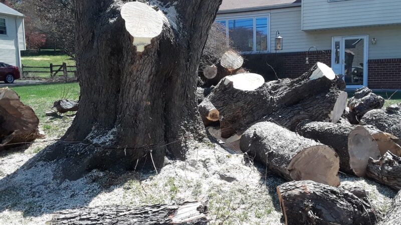 Roscioli Park - West Chester, PA