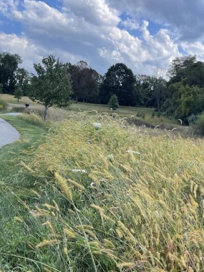 Squire Cheyney Farm Park - West Chester, PA