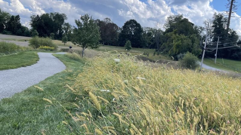 Squire Cheyney Farm Park - West Chester, PA