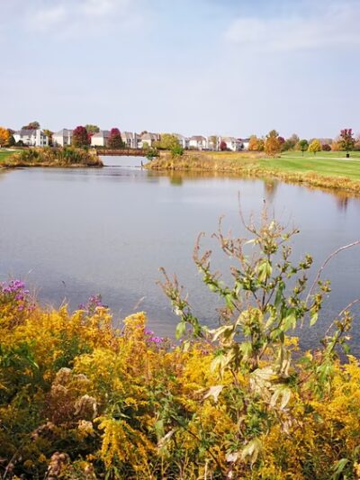 Cornerstone Lakes Park - West Chicago, IL
