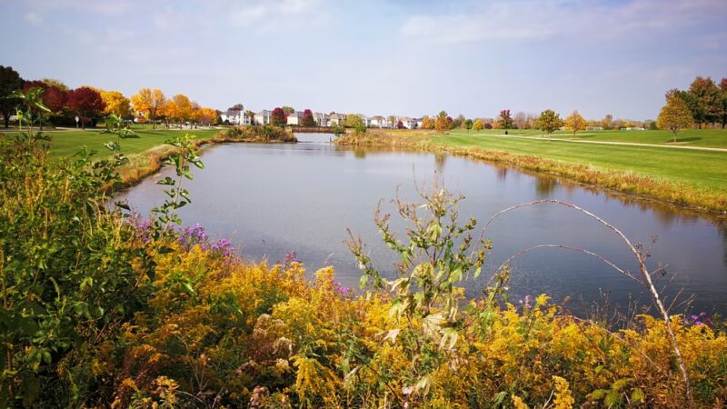 Cornerstone Lakes Park - West Chicago, IL