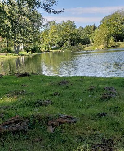 Don Earley Park - West Chicago, IL