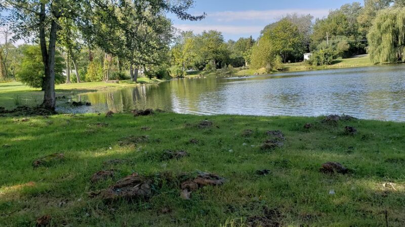 Don Earley Park - West Chicago, IL