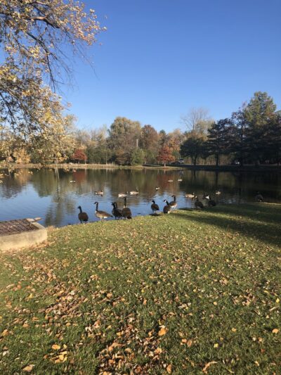 Easton Park - West Chicago, IL