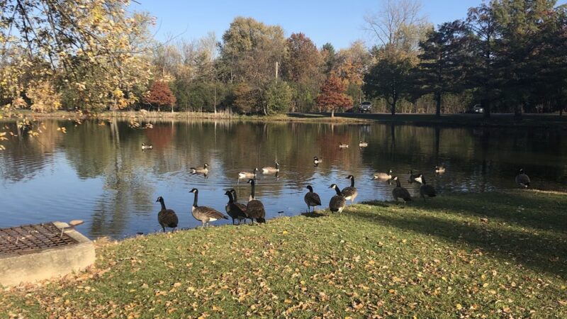Easton Park - West Chicago, IL