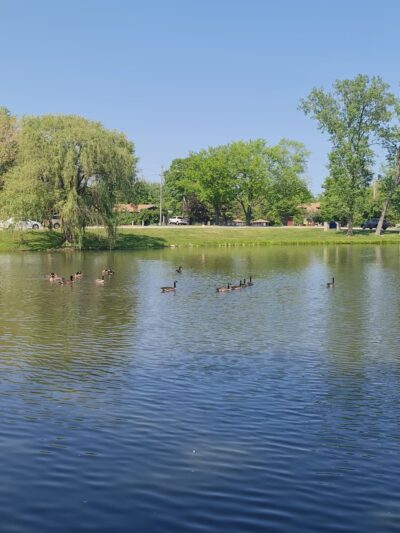 Easton Park - West Chicago, IL