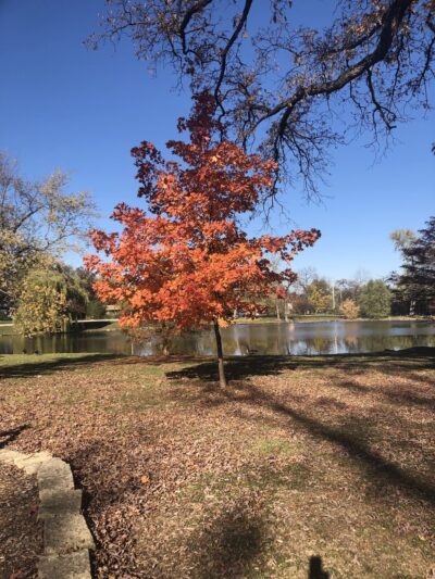 Easton Park - West Chicago, IL