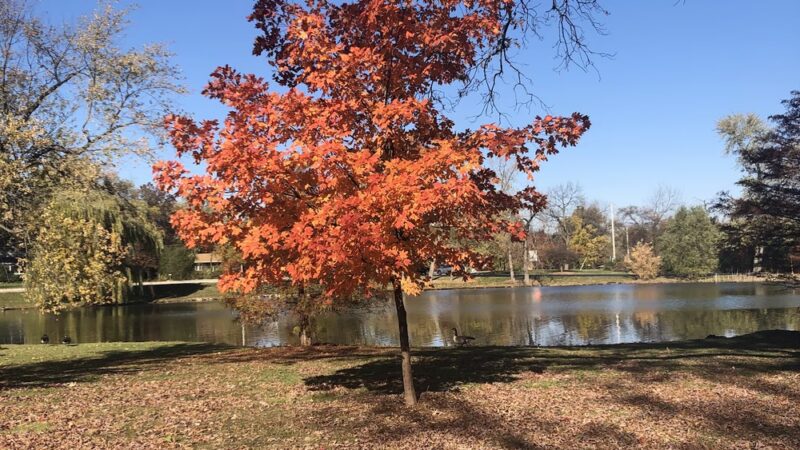 Easton Park - West Chicago, IL
