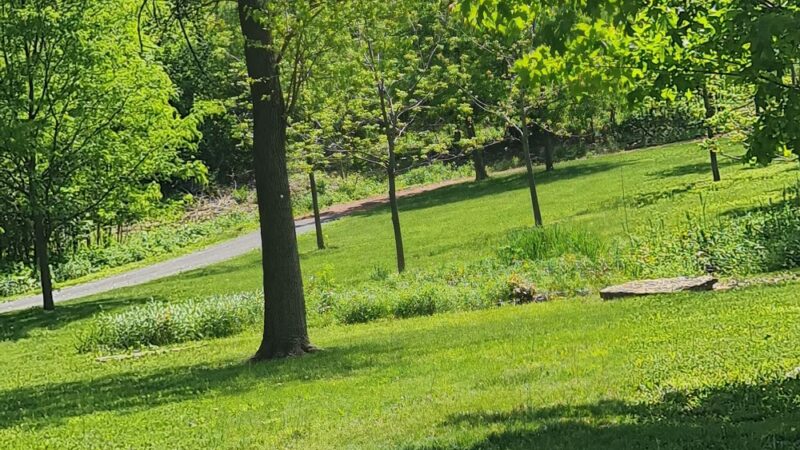 Easton Park - West Chicago, IL